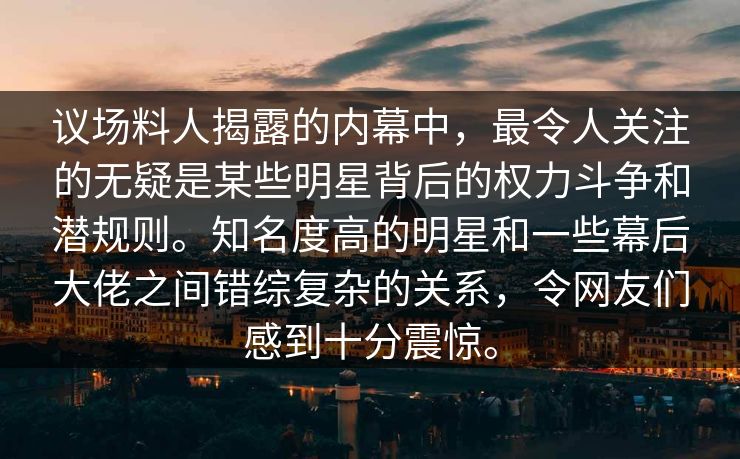 议场料人揭露的内幕中，最令人关注的无疑是某些明星背后的权力斗争和潜规则。知名度高的明星和一些幕后大佬之间错综复杂的关系，令网友们感到十分震惊。
