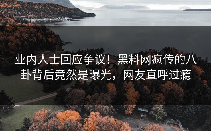 业内人士回应争议！黑料网疯传的八卦背后竟然是曝光，网友直呼过瘾