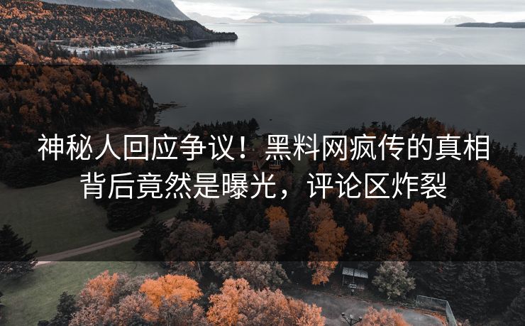 神秘人回应争议！黑料网疯传的真相背后竟然是曝光，评论区炸裂