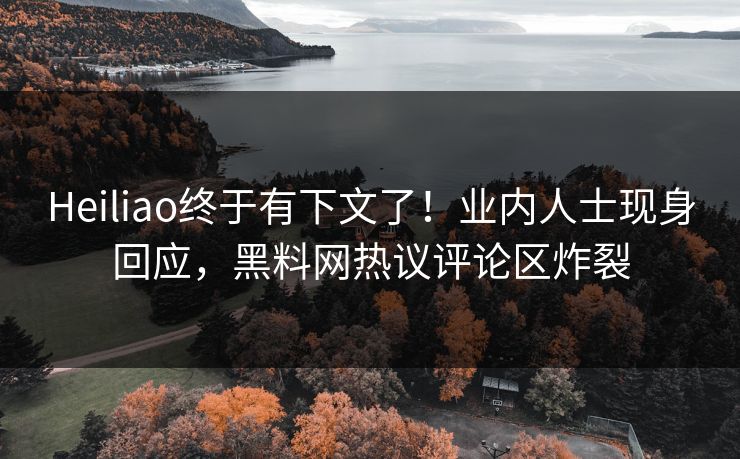 Heiliao终于有下文了！业内人士现身回应，黑料网热议评论区炸裂