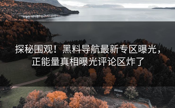 探秘围观！黑料导航最新专区曝光，正能量真相曝光评论区炸了