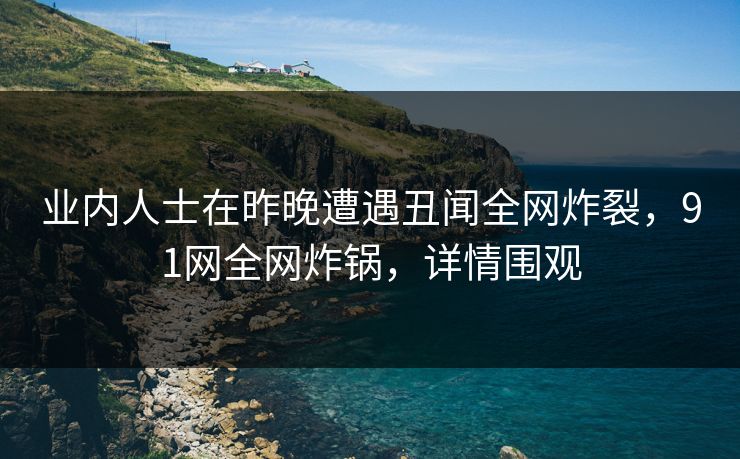 业内人士在昨晚遭遇丑闻全网炸裂，91网全网炸锅，详情围观