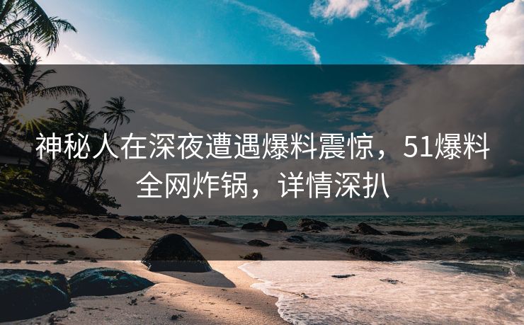 神秘人在深夜遭遇爆料震惊，51爆料全网炸锅，详情深扒