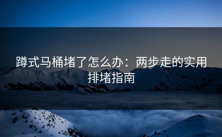 蹲式马桶堵了怎么办：两步走的实用排堵指南